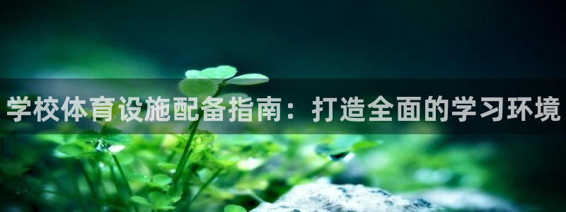 意昂体育3:学校体育设施配备指南:打造全面的学习环境
